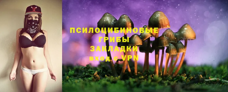 даркнет сайт  это формула  Галлюциногенные грибы Psilocybine cubensis  Богородицк 